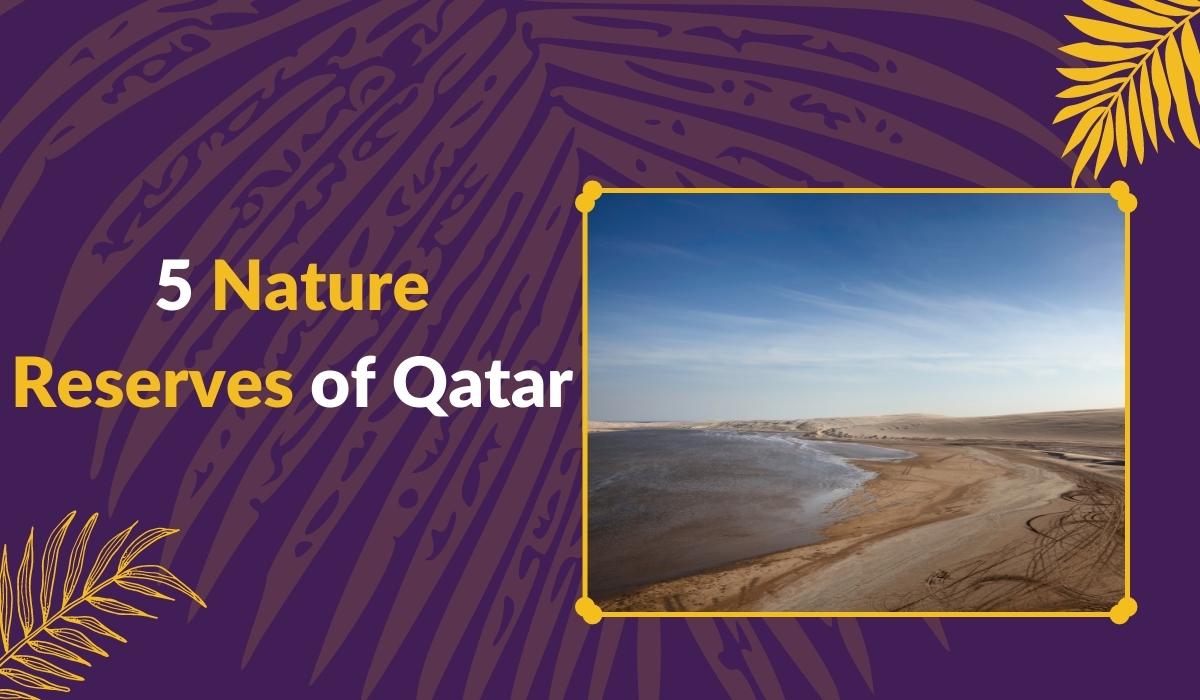 5 Nature Reserves of Qatar